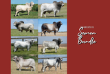 Semen Bundle: Mix and Match - No Minimums Required!