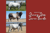 Semen Bundle: Mix and Match - Shining Stars!