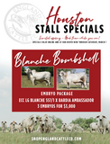 Blanche Bombshell Embryo Package