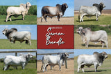 Semen Bundle: Mix and Match - No Minimums Required!