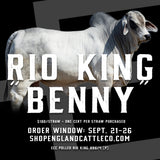 ECC Polled Rio King 896/4 "Benny" - 5 Straw Package